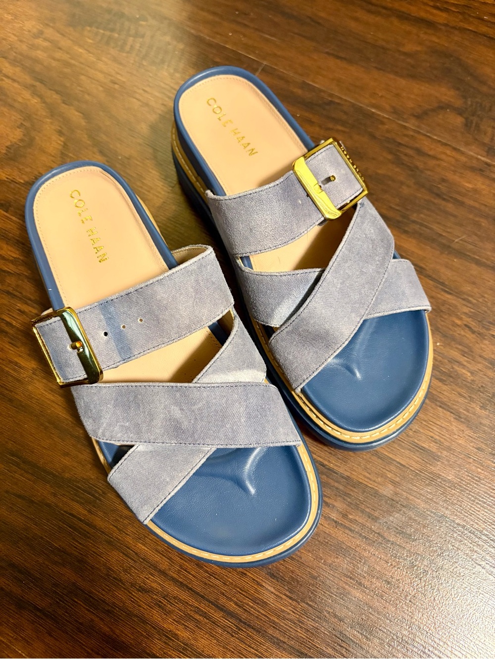 Cole Haan Blue Suede Fraya Sandals with Gold Hardware 6.5B